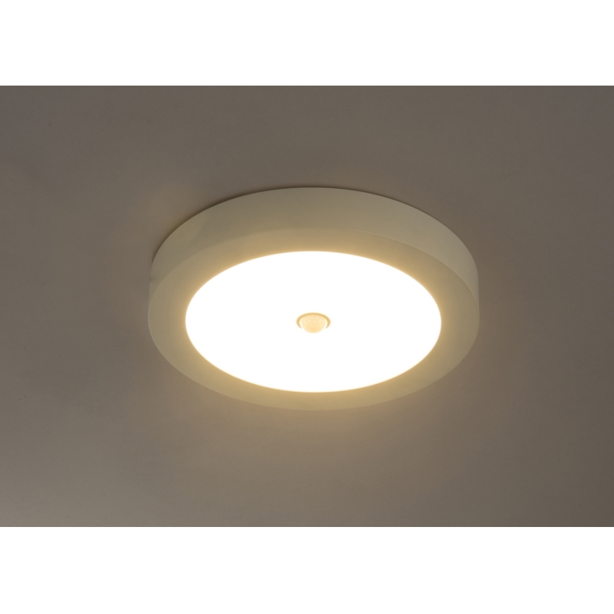 GLOBO 41605-18S - LED Zunanja stropna svetilka s senzorjem PAULA 1xLED/18W/230V