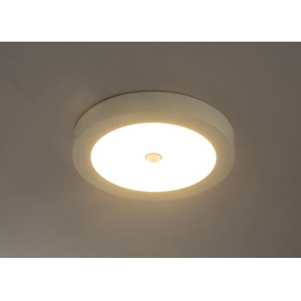 Globo - LED Zunanja stropna svetilka s senzorjem LED/18W/230V IP44
