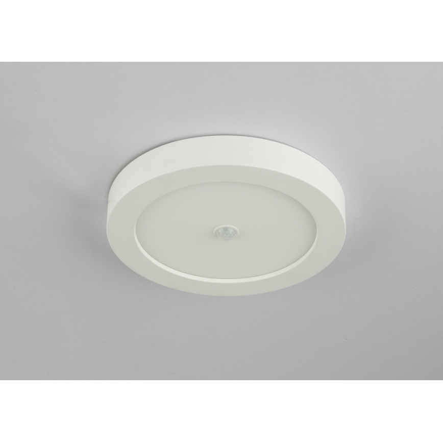 Globo - LED Zunanja stropna svetilka s senzorjem LED/18W/230V IP44