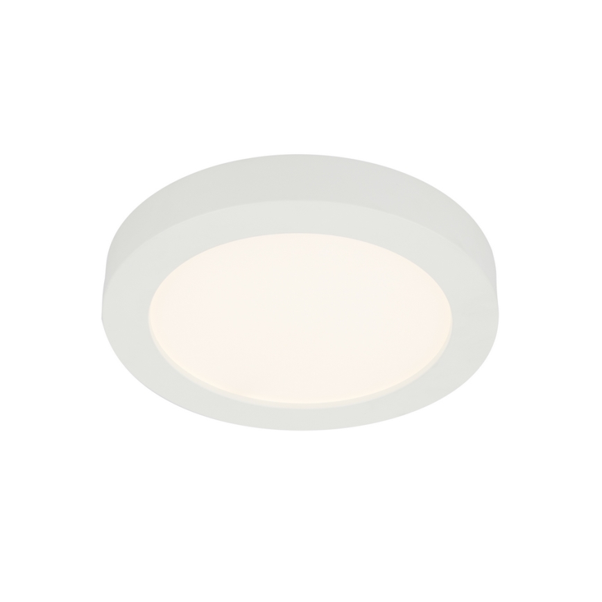 GLOBO 41605-22 - LED Kopalniška stropna svetilka PAULA 1xLED/22W/230V IP44