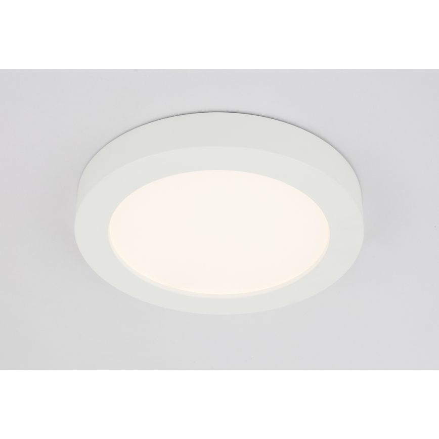 GLOBO 41605-22 - LED Kopalniška stropna svetilka PAULA 1xLED/22W/230V IP44