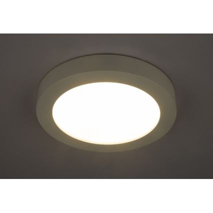 GLOBO 41605-22 - LED Kopalniška stropna svetilka PAULA 1xLED/22W/230V IP44