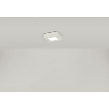 Globo - LED Stropna svetilka SVENJA 1xLED/9W/230V 3000/4000/6000K