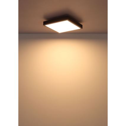 Globo - LED Stropna svetilka LED/12W/230V 3000K 30x30 cm