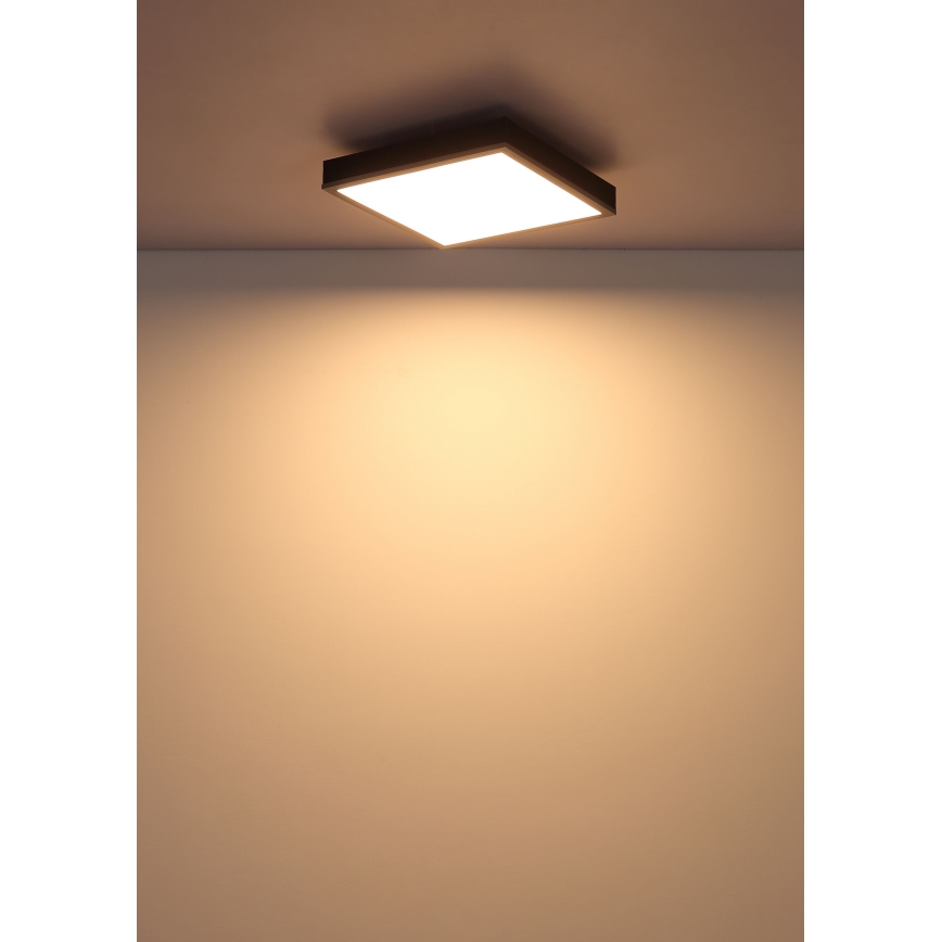 Globo - LED Stropna svetilka LED/12W/230V 3000K 30x30 cm