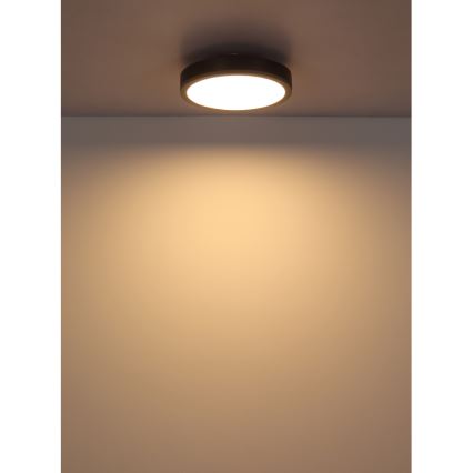 Globo - LED Stropna svetilka LED/12W/230V 3000K pr. 30 cm