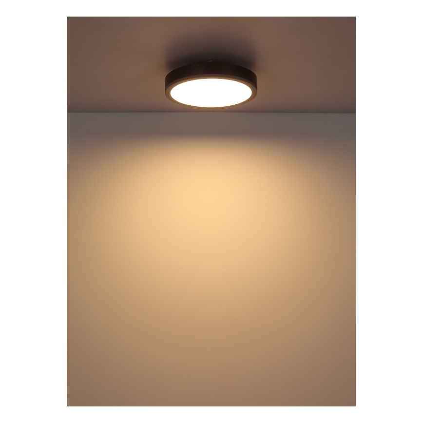 Globo - LED Stropna svetilka LED/12W/230V 3000K pr. 30 cm