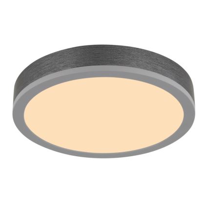 Globo - LED Stropna svetilka LED/12W/230V 3000K pr. 30 cm