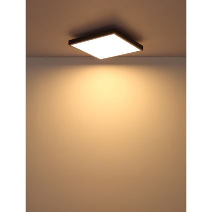 Globo - LED Stropna svetilka LED/24W/230V 3000K 45x45 cm