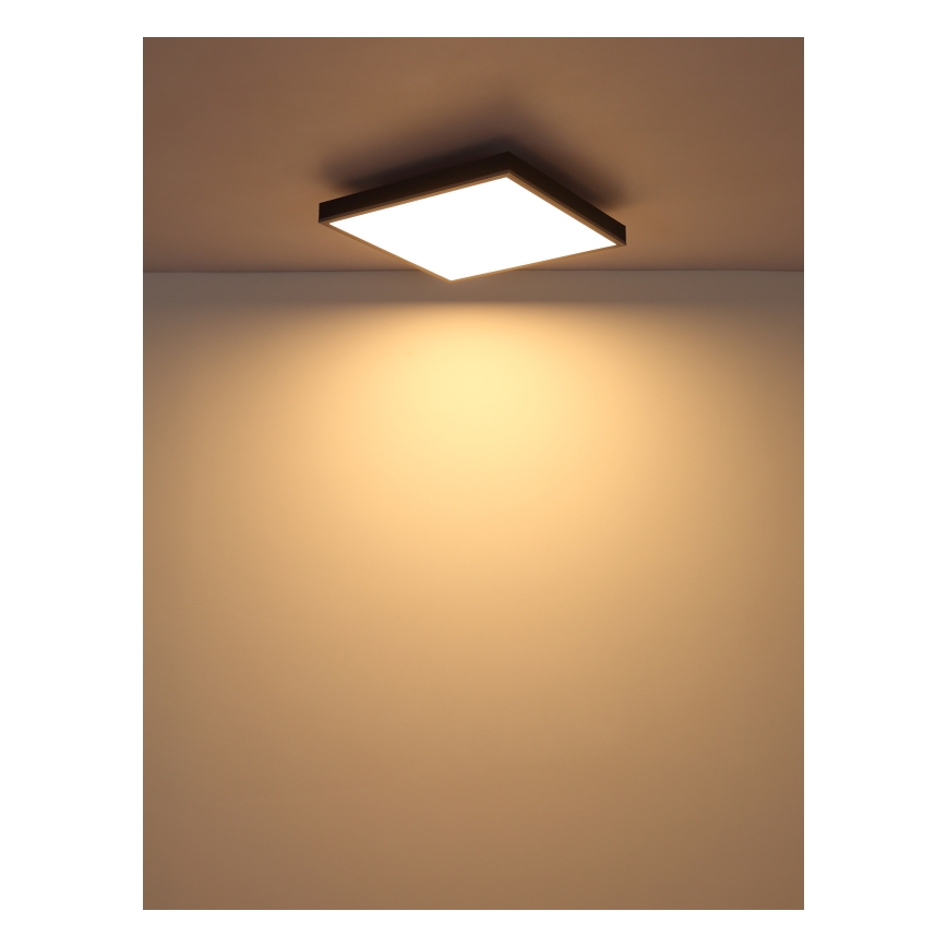 Globo - LED Stropna svetilka LED/24W/230V 3000K 45x45 cm