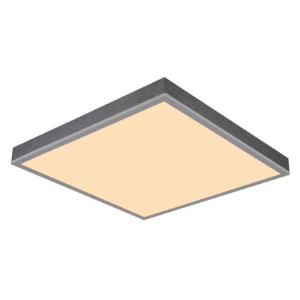 Globo - LED Stropna svetilka LED/24W/230V 3000K 45x45 cm