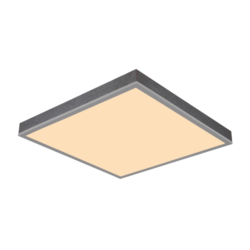 Globo - LED Stropna svetilka LED/24W/230V 3000K 45x45 cm