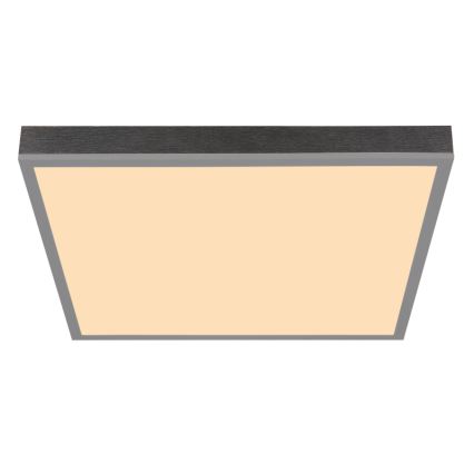 Globo - LED Stropna svetilka LED/24W/230V 3000K 45x45 cm