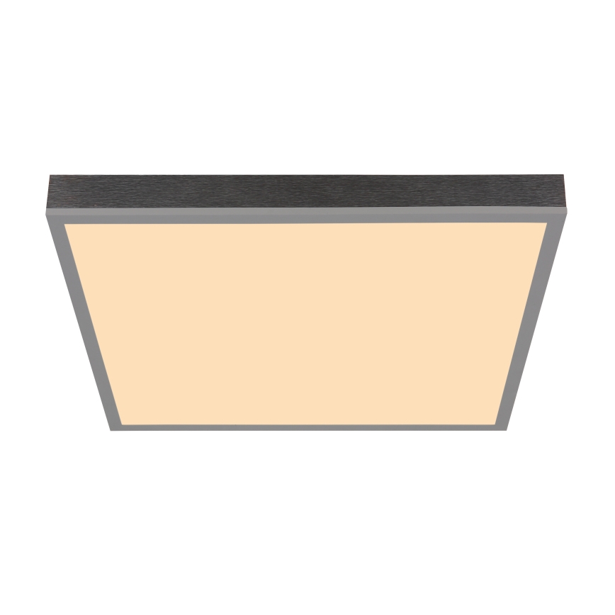 Globo - LED Stropna svetilka LED/24W/230V 3000K 45x45 cm