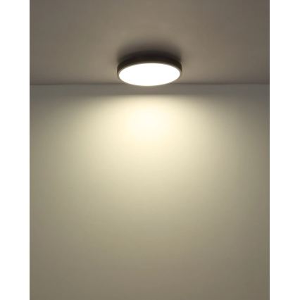 Globo - LED stropna svetilka z zatemnitvijo LED/24W/230V 2700-6500K premer 45 cm + daljinski upravljalnik