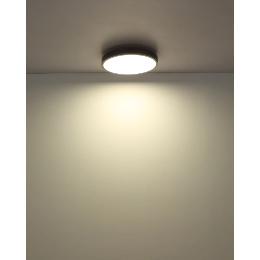Globo - LED stropna svetilka z zatemnitvijo LED/24W/230V 2700-6500K premer 45 cm + daljinski upravljalnik