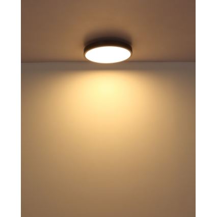 Globo - LED Stropna svetilka LED/24W/230V 3000K pr. 45 cm