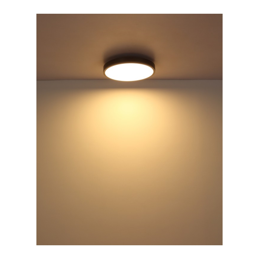 Globo - LED Stropna svetilka LED/24W/230V 3000K pr. 45 cm