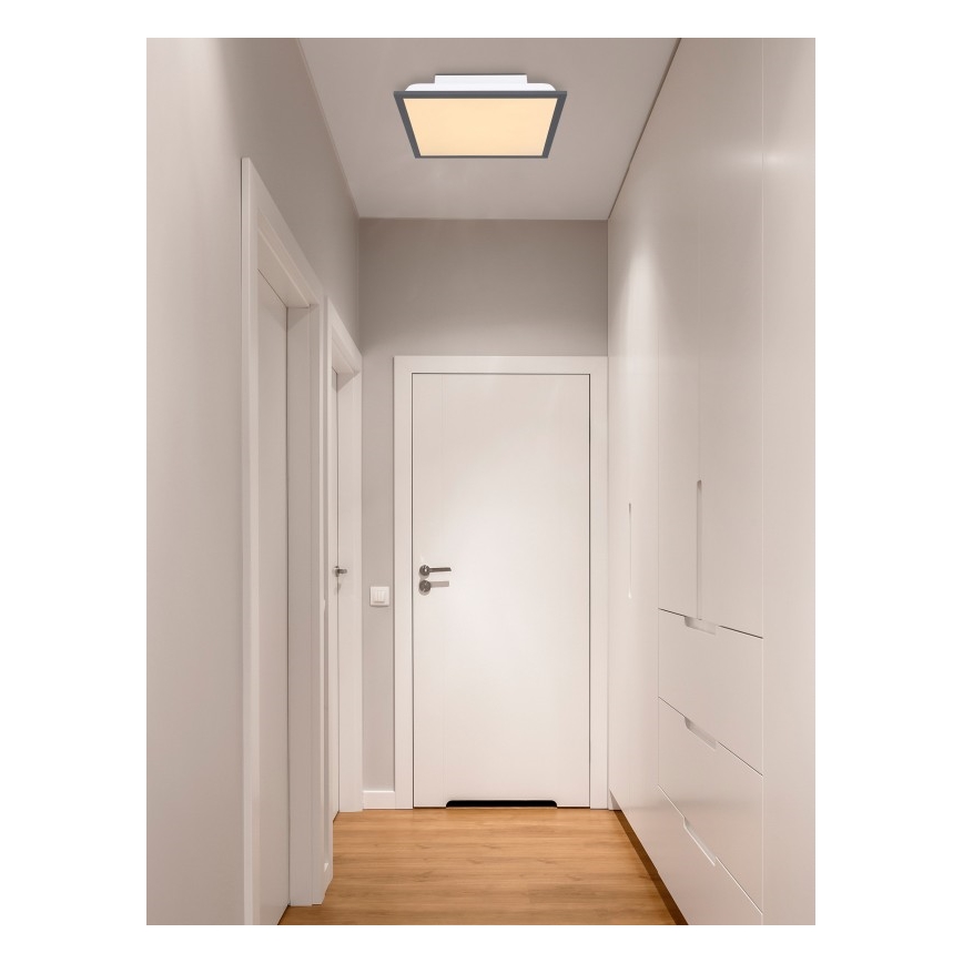 Globo - LED Stropna svetilka LED/12W + LED/4W/230V