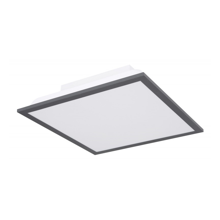 Globo - LED Stropna svetilka LED/12W + LED/4W/230V