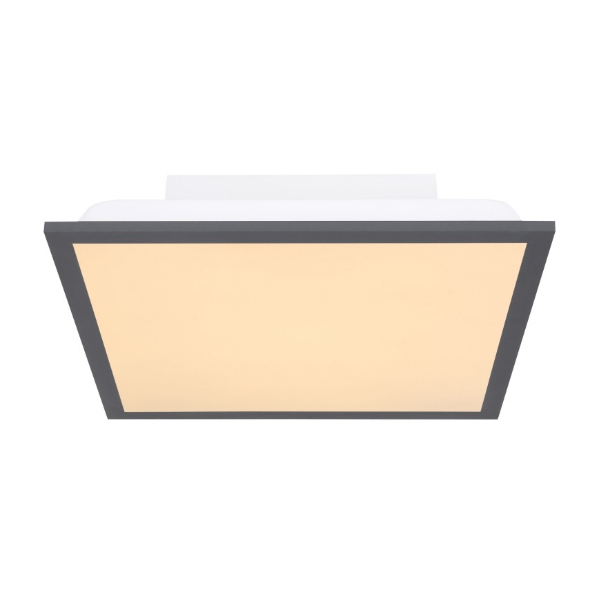 Globo - LED Stropna svetilka LED/12W + LED/4W/230V