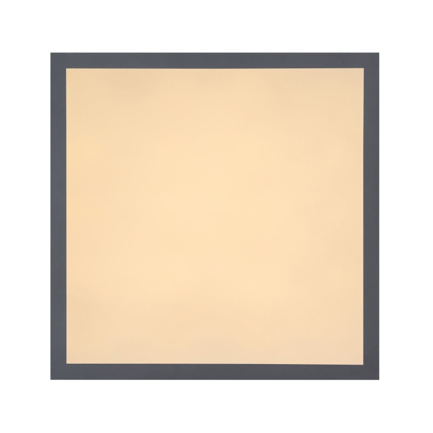 Globo - LED Stropna svetilka LED/12W + LED/4W/230V