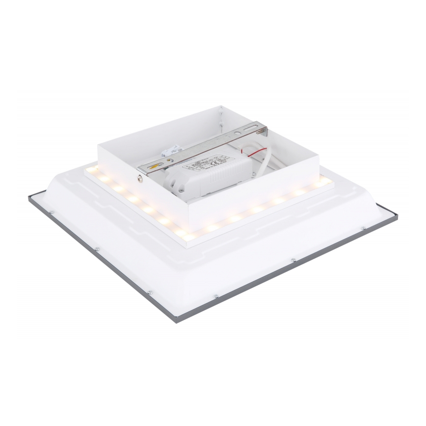 Globo - LED Stropna svetilka LED/12W + LED/4W/230V