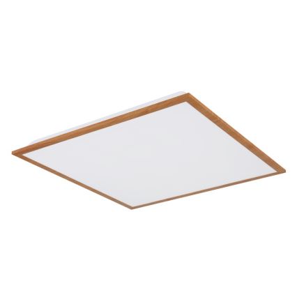 Globo - LED Stropna svetilka LED/24W/230V