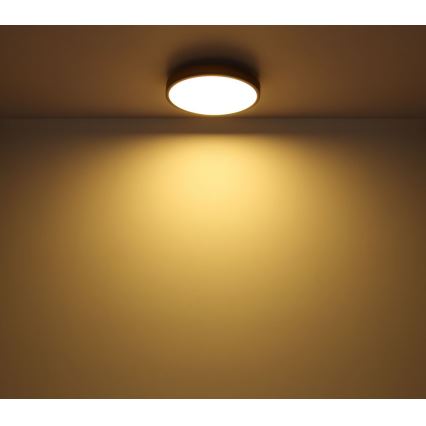 Globo - LED Stropna svetilka LED/12W/230V pr. 30 cm