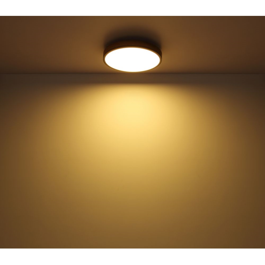 Globo - LED Stropna svetilka LED/12W/230V pr. 30 cm