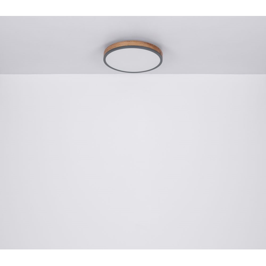 Globo - LED Stropna svetilka LED/12W/230V pr. 30 cm