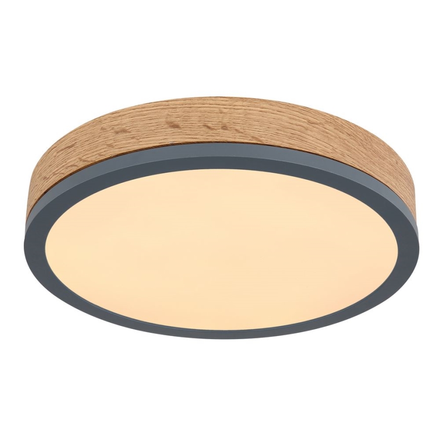 Globo - LED Stropna svetilka LED/12W/230V pr. 30 cm