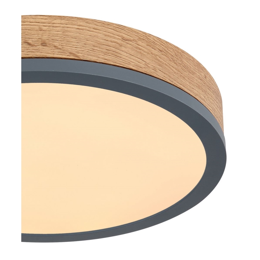 Globo - LED Stropna svetilka LED/12W/230V pr. 30 cm
