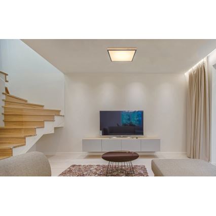 Globo - LED zatemnjiva stropna svetilka LED/24W/230V 3000-6500K 45x45 cm