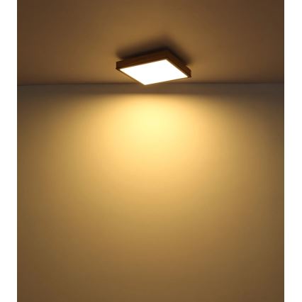 Globo - LED zatemnjiva stropna svetilka LED/24W/230V 3000-6500K 45x45 cm