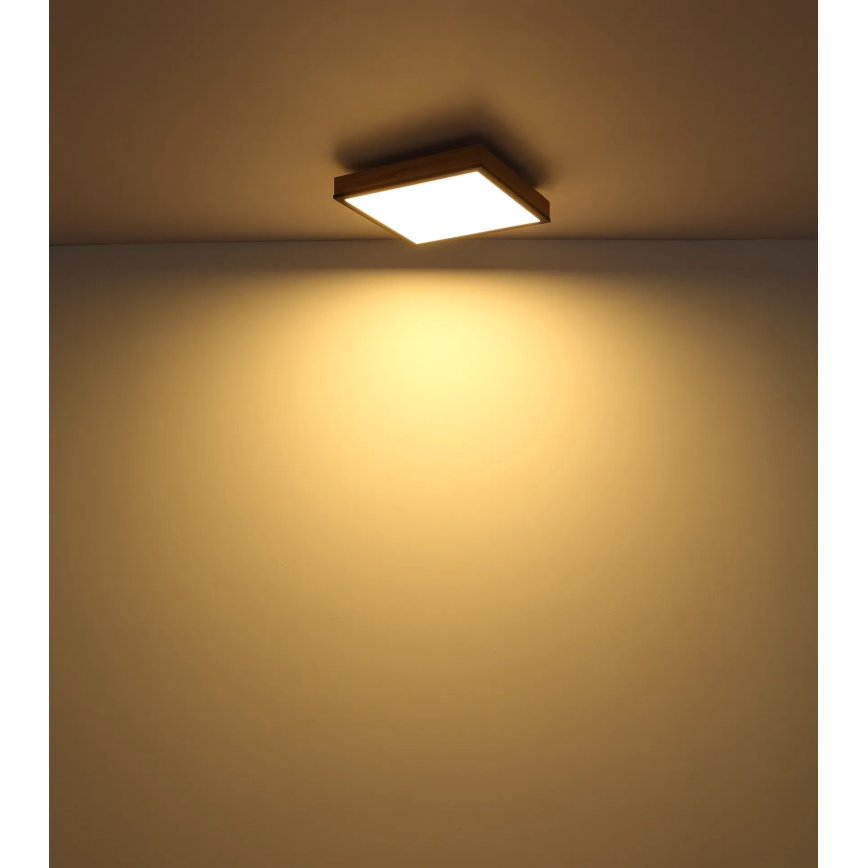 Globo - LED zatemnjiva stropna svetilka LED/24W/230V 3000-6500K 45x45 cm