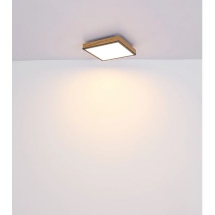 Globo - LED zatemnjiva stropna svetilka LED/24W/230V 3000-6500K 45x45 cm