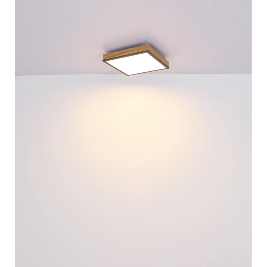 Globo - LED zatemnjiva stropna svetilka LED/24W/230V 3000-6500K 45x45 cm