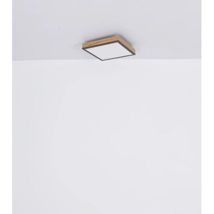 Globo - LED zatemnjiva stropna svetilka LED/24W/230V 3000-6500K 45x45 cm
