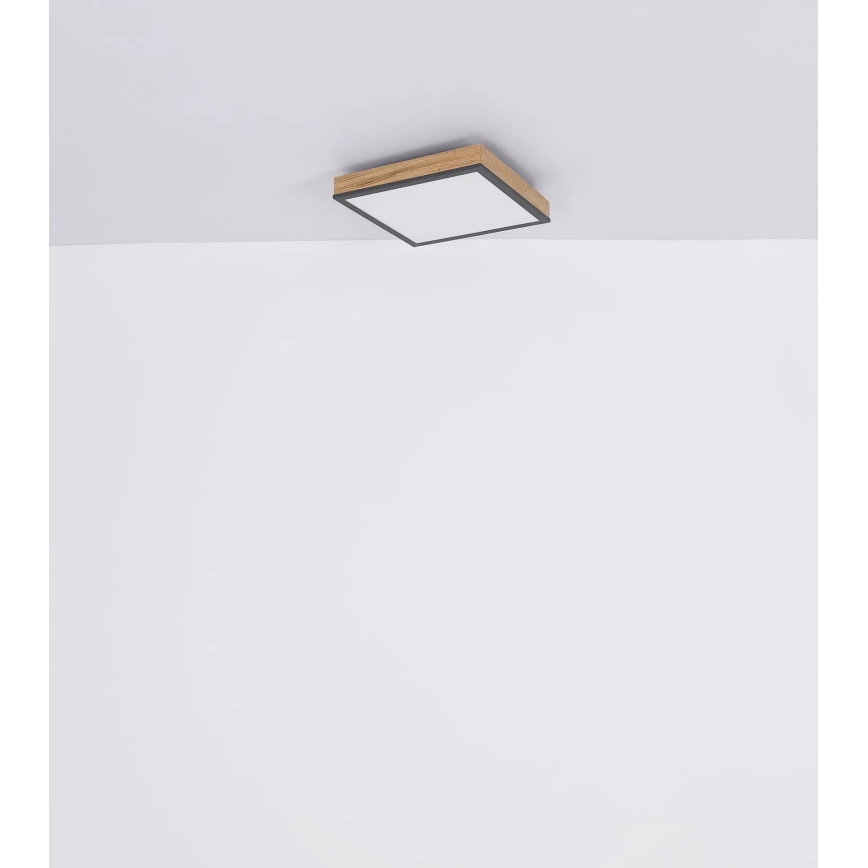 Globo - LED zatemnjiva stropna svetilka LED/24W/230V 3000-6500K 45x45 cm