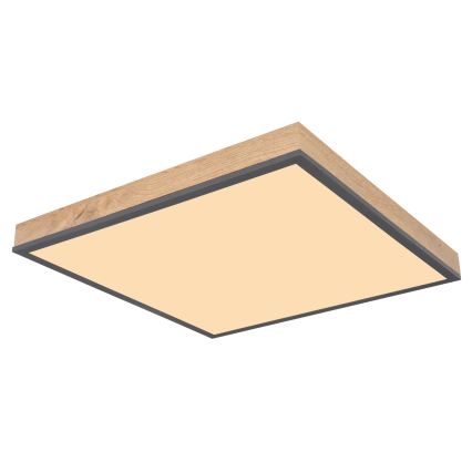 Globo - LED zatemnjiva stropna svetilka LED/24W/230V 3000-6500K 45x45 cm