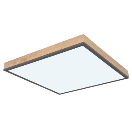 Globo - LED zatemnjiva stropna svetilka LED/24W/230V 3000-6500K 45x45 cm