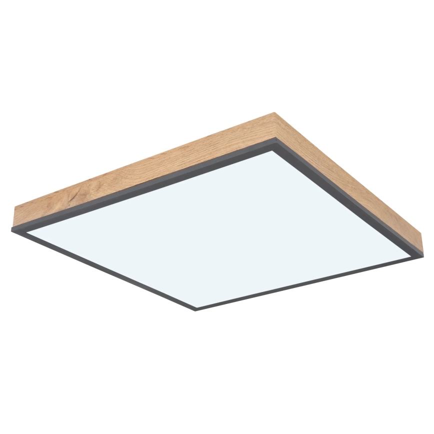 Globo - LED zatemnjiva stropna svetilka LED/24W/230V 3000-6500K 45x45 cm