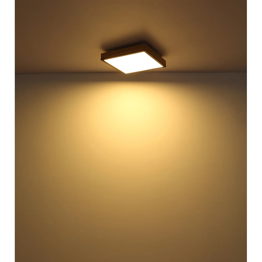 Globo - LED stropno svetilo z zatemnitvijo LED/24W/230V 3000-6500K 45x45 cm