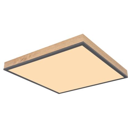 Globo - LED stropno svetilo z zatemnitvijo LED/24W/230V 3000-6500K 45x45 cm