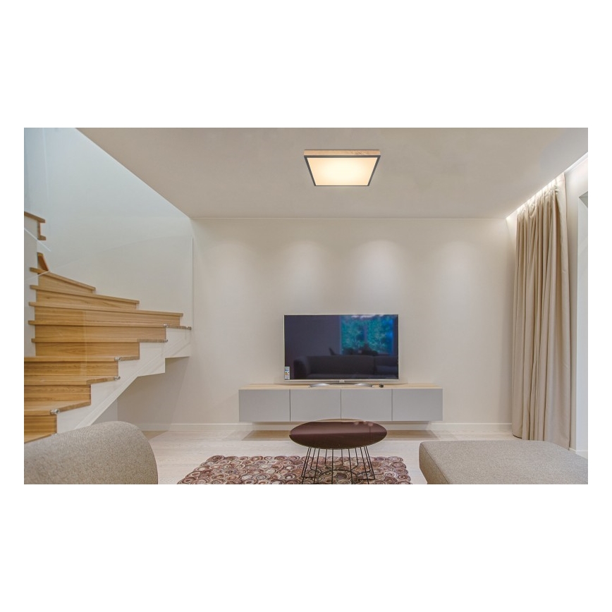 Globo - LED Stropna svetilka LED/24W/230V