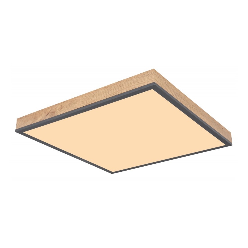 Globo - LED Stropna svetilka LED/24W/230V