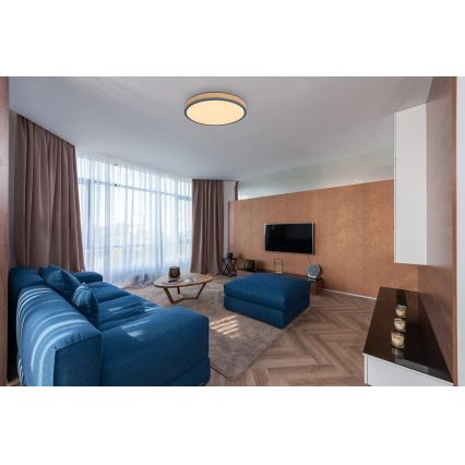 Globo - zatemnljiva LED stropna svetilka, 24 W, 230 V, 3000–6500 K, Ø 45 cm