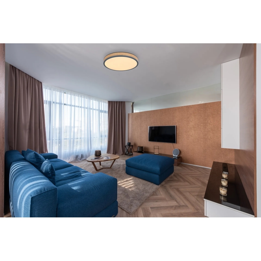 Globo - zatemnljiva LED stropna svetilka, 24 W, 230 V, 3000–6500 K, Ø 45 cm
