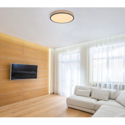 Globo - zatemnljiva LED stropna svetilka, 24 W, 230 V, 3000–6500 K, Ø 45 cm
